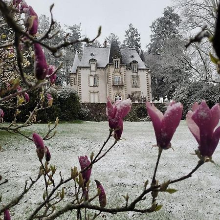 Bed and Breakfast Chateau Maleplane Saint-Léonard-de-Noblat Zewnętrze zdjęcie