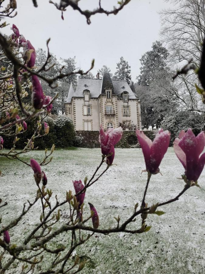 Bed and Breakfast Chateau Maleplane Saint-Léonard-de-Noblat Zewnętrze zdjęcie