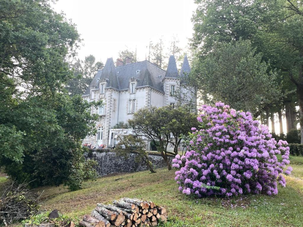 Bed and Breakfast Chateau Maleplane Saint-Léonard-de-Noblat Zewnętrze zdjęcie