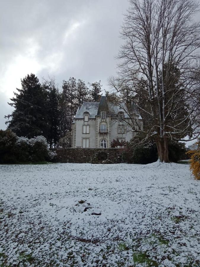 Bed and Breakfast Chateau Maleplane Saint-Léonard-de-Noblat Zewnętrze zdjęcie