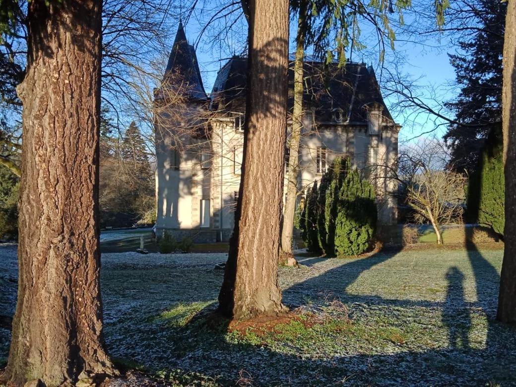 Bed and Breakfast Chateau Maleplane Saint-Léonard-de-Noblat Zewnętrze zdjęcie